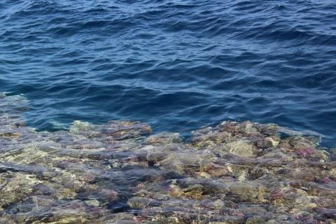 Beautiful seabed background Stock Photos