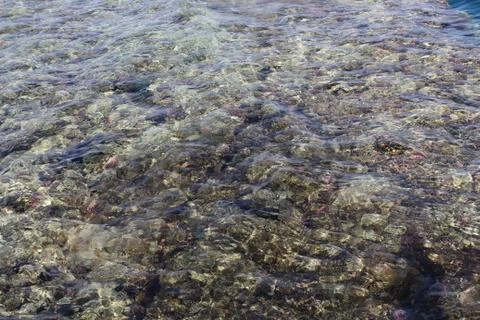 Beautiful seabed background Stock Photos