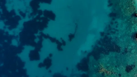 Beautiful seabed pattern with colorful algae and pebbles under azure clean Stock Footage 139364375