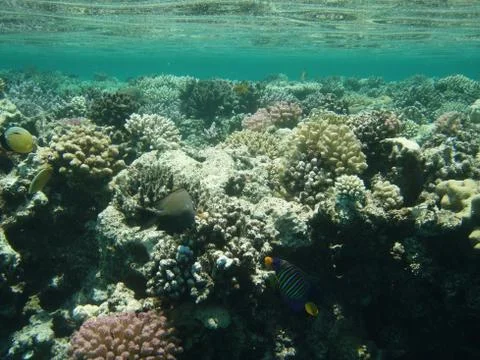 Beautiful seabed Stock Photos