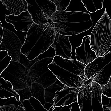 Beautiful seamless background, white and gray outline lily on black Stock Illustration