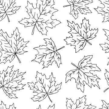 Beautiful seamless doodle pattern with black and white maple leaves sketch... イラスト素材