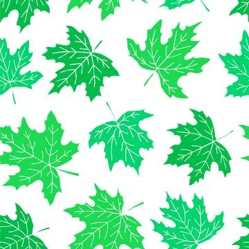 Beautiful seamless doodle pattern with green maple leaves sketch. design ba.. Stock Illustration