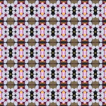 Beautiful Seamless geometric pattern. Stock-Illustration