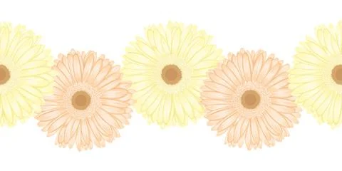Beautiful seamless horizontal frame element of gerbera flower Stock Illustration