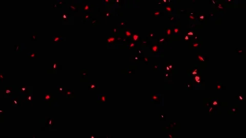 Beautiful seamless loop animation of red tiny glowing hearts falling Stock Footage 168165067