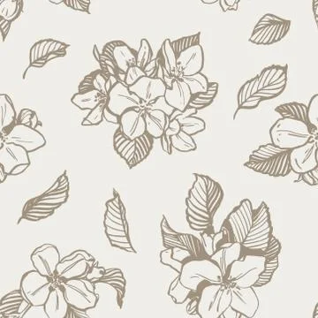 Beautiful seamless pattern with apple tree flowers. Stock Illustration