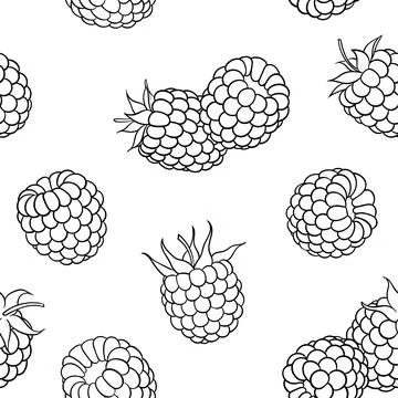 Beautiful seamless pattern cartoon black and white outline raspberry, symbo.. Stockillustratie