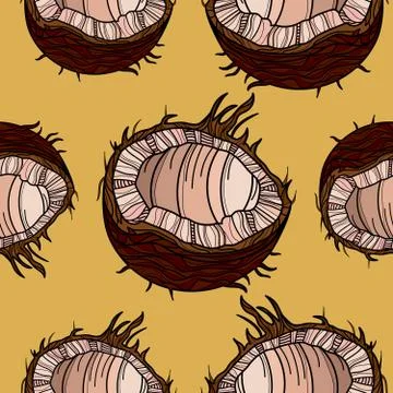 Beautiful seamless pattern with coconut. イラスト素材