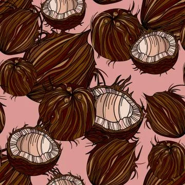 Beautiful seamless pattern with coconut. イラスト素材