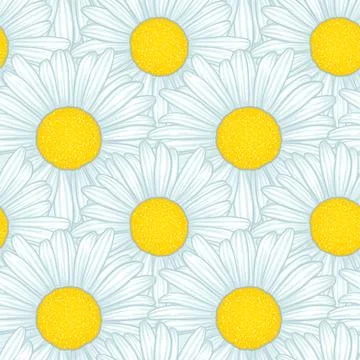 Beautiful seamless pattern with flowers daisy. design for greeting cards and  Stock Illustration
