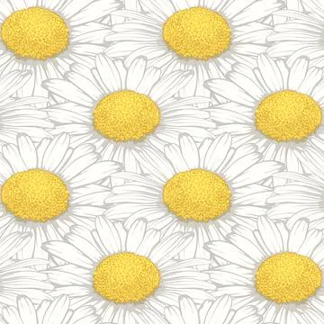 Beautiful seamless pattern with flowers daisy. design forgreeting cards and i Stock Illustration