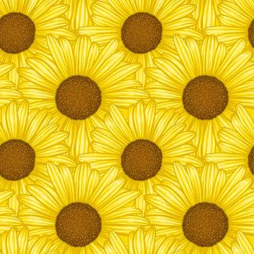 Beautiful seamless pattern with flowers daisy. design forgreeting cards and i Stock Illustration