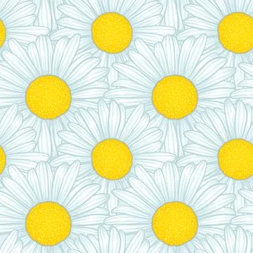 Beautiful seamless pattern with flowers daisy. design for greeting cards an.. Stock Illustration