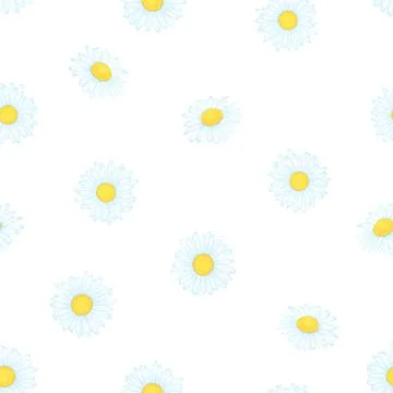 Beautiful seamless pattern with flowers daisy. vector illustration. design .. Stock Illustration