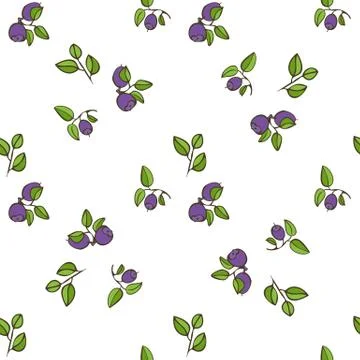 Beautiful seamless pattern with natural fresh blueberries Illustrazione stock