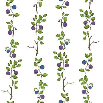 Beautiful seamless pattern with natural fresh blueberries Stock Illustration
