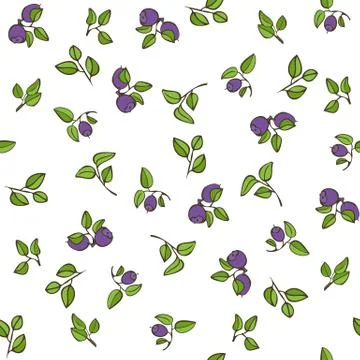 Beautiful seamless pattern with natural fresh blueberries Illustrazione stock