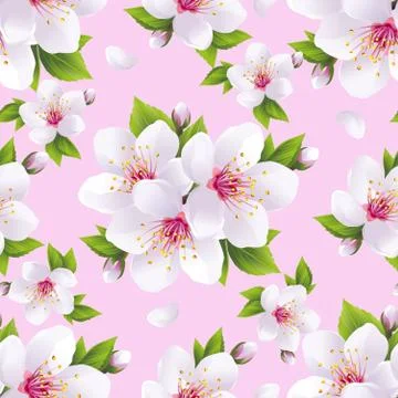 Beautiful seamless pattern pink with sakura blossom 스톡 일러스트