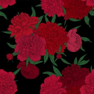 Beautiful seamless pattern red, pink peonies with green leaves and buds. Ha.. Stock Illustration