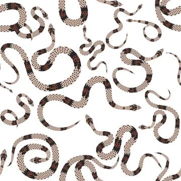 Beautiful seamless pattern with snakes on white. Vector illustration. 스톡 일러스트