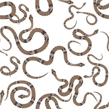 Beautiful seamless pattern with snakes on white. Vector illustration. 스톡 일러스트