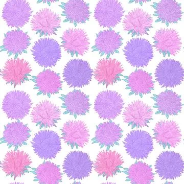 Beautiful seamless pattern with vintage flowers asters. design for greeting.. Stock Illustration