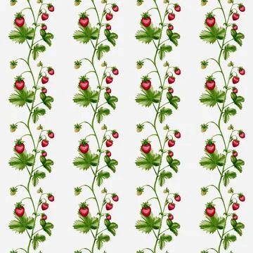Beautiful seamless watercolor pattern featuring ripe strawberries and lush .. Stock Illustration