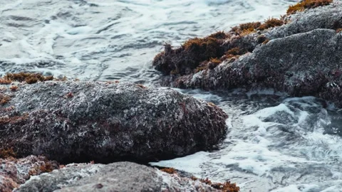Beautiful seascape on a cloudy day. Waves, white foam on the water and grey Stockbeeldmateriaal 185548331