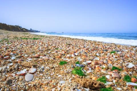 Beautiful seascape with seashells Stock Photos
