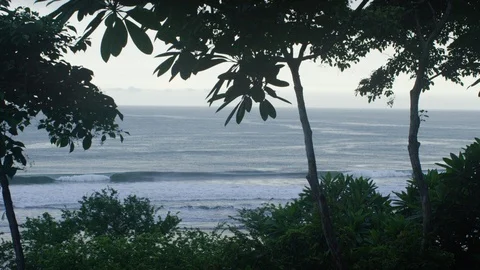 Beautiful seascape seen through the trees on the coast Stock Footage 111960003