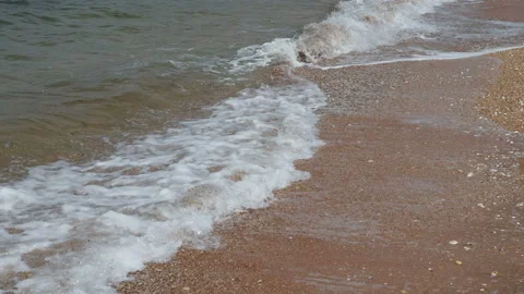 Beautiful seashell on the sandy beach and sea waves on a sunny summer day. Stock Footage 157265189