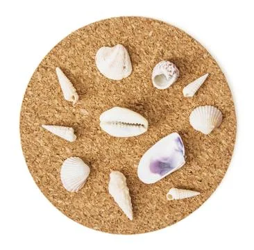 Beautiful seashells on the circular cork base Stock Photos