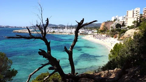 Beautiful seaside beach of Platja de Portals Nous, Majorca island, Spain Stock Footage 100681572
