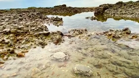 Beautiful seaside view Stock Footage 203933870