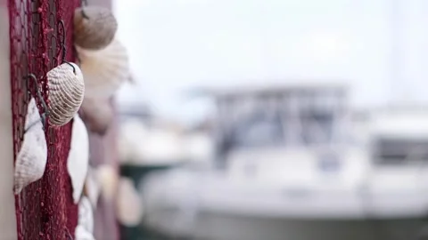 Beautiful selective focused sea shell decoration blowing by the wind Stock Footage 249488216