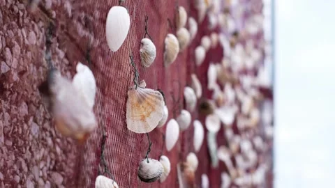 Beautiful selective focused sea shell decoration blowing by the wind Stock Footage 249488261