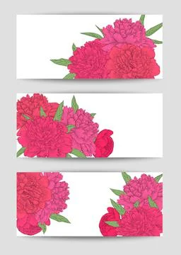 Beautiful Set of horizontal banners with flowers. Hand-drawn background for g Stock Illustration