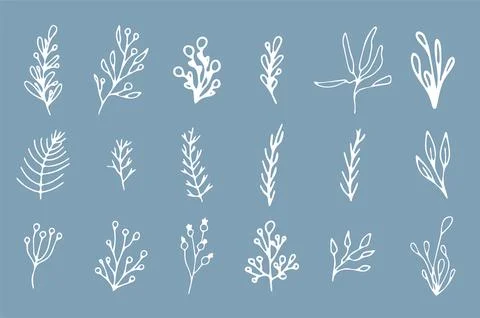 Beautiful set of white botanical elements Christmas tree, berries for winter 스톡 일러스트