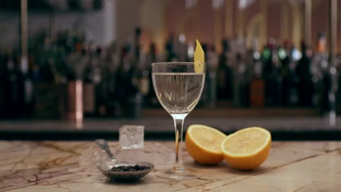 Beautiful setup of Martini cocktail with juniper berries, lemons, and ice cubes Stock Footage 199455433