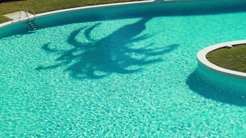 Beautiful shadow of a palm tree on the water surface in the pool. Light ripples Stock Footage 154715747