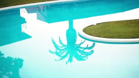 Beautiful shadow of a palm tree on the water surface in the pool. Light ripples Stock Footage 155302918