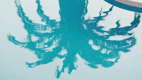 Beautiful shadow of a palm tree on the water surface in the pool. Light ripples Stock Footage 155302961