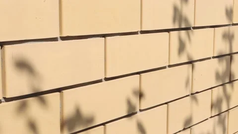 A beautiful shadow from a tree on a textured beige brick wall. Video stock 194232760