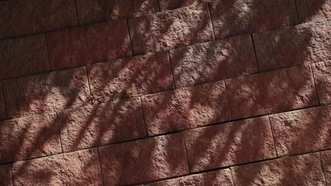 Beautiful shadows on a stone wall. Tree branches cast a shadow on the red wall Stockbeeldmateriaal 132969166