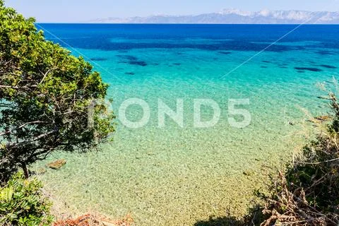Beautiful shallow sea with vegetation around bay, pine trees Stock Photos