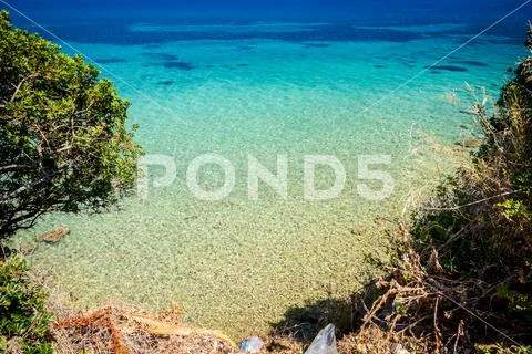 Beautiful shallow sea with vegetation around bay, pine trees Stock Photos