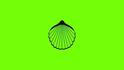 Beautiful shell icon animation Stock Footage 157503821