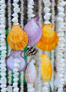 Beautiful shell Stock Photos
