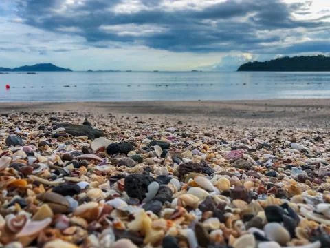 Beautiful shells in the beach making patterns Stock Photos